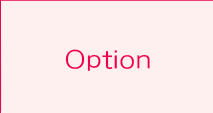 Ｏｐｔｉｏｎ