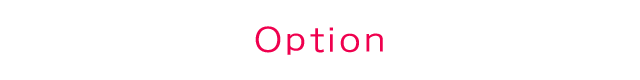 Option